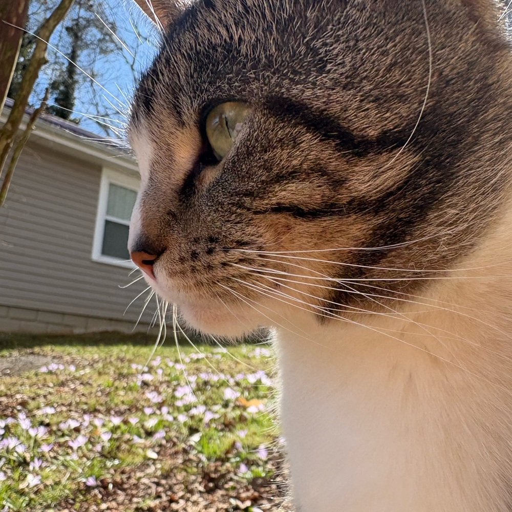 Meet your Posher, Kristina faith